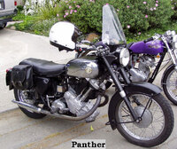 Panther.jpg