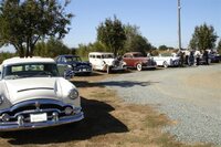 Plenty_of_Packards.JPG