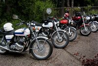 Bikes-out-front2.jpg